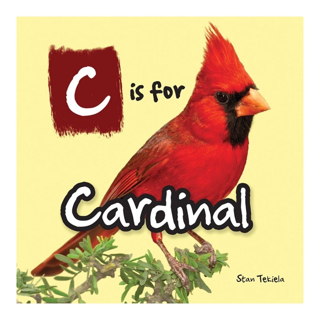 ADVENTURE KEEN - C is for Cardinal Book (AP35339)
