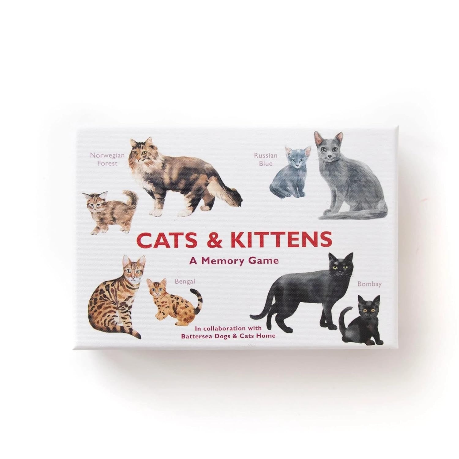 Cats & Kittens Matching Game